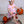 Pumpkin Patch SS Bloomer Set